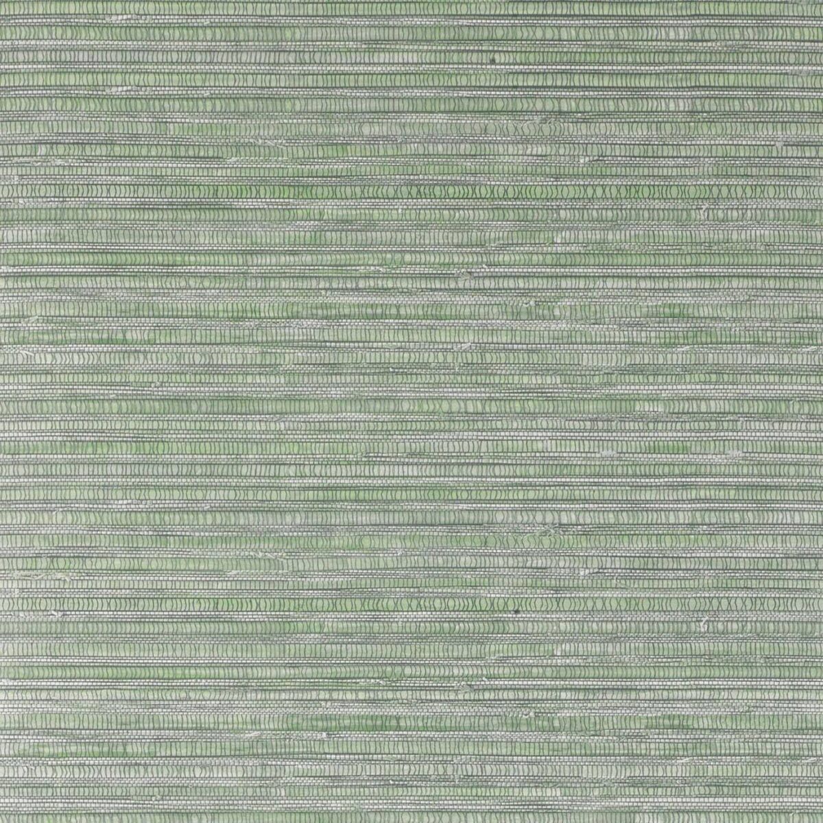 green striped wallpaper from matthew williamson