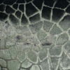 brown spotted velvet-chenille fabric from Art of the Loom