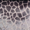 brown spotted velvet-chenille fabric from Art of the Loom