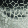 brown spotted velvet-chenille fabric from Art of the Loom