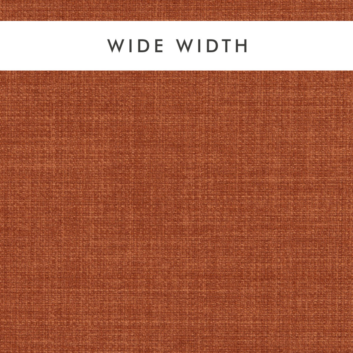 orange plain woven fabric from Clarke & Clarke