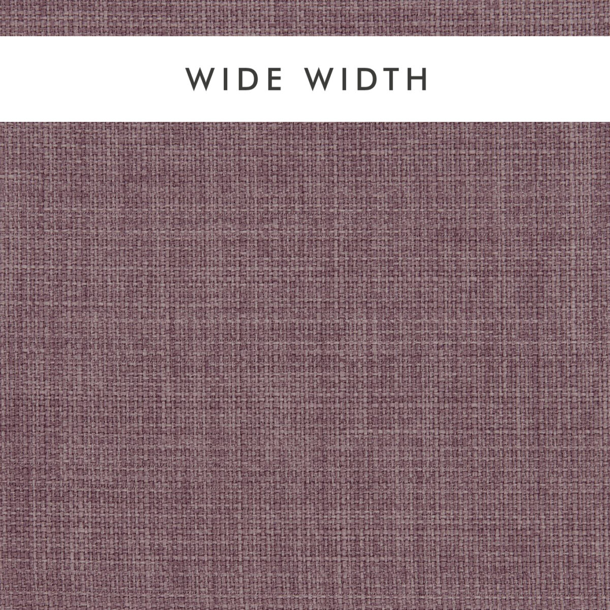 purple plain woven fabric from Clarke & Clarke