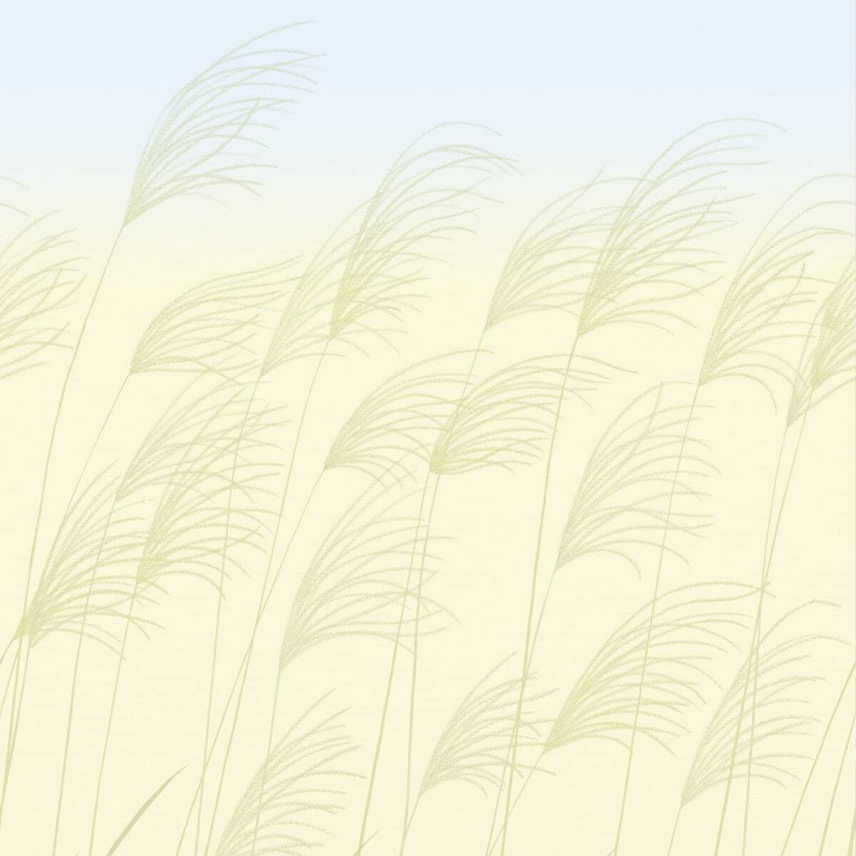 Miscanthus Wallpaper - Buttermilk / Sky by Miscanthus Wallpaper - Buttermilk / Sky from