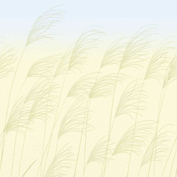 Miscanthus Wallpaper - Buttermilk / Sky from