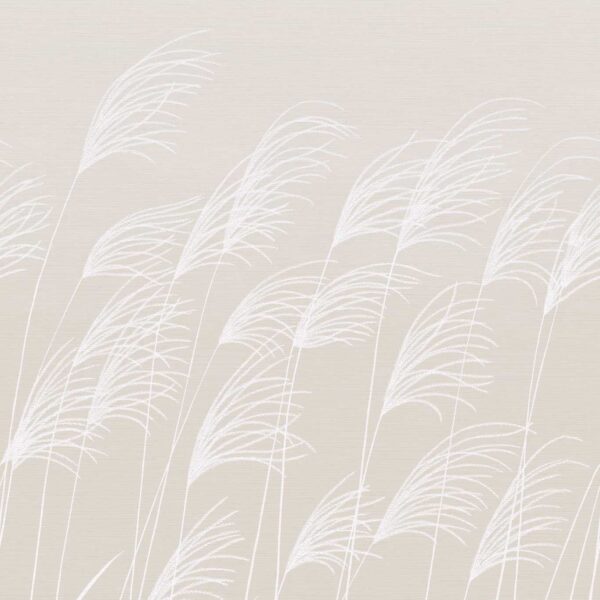Miscanthus Wallpaper - Parchment / Frost by Miscanthus Wallpaper - Parchment / Frost from
