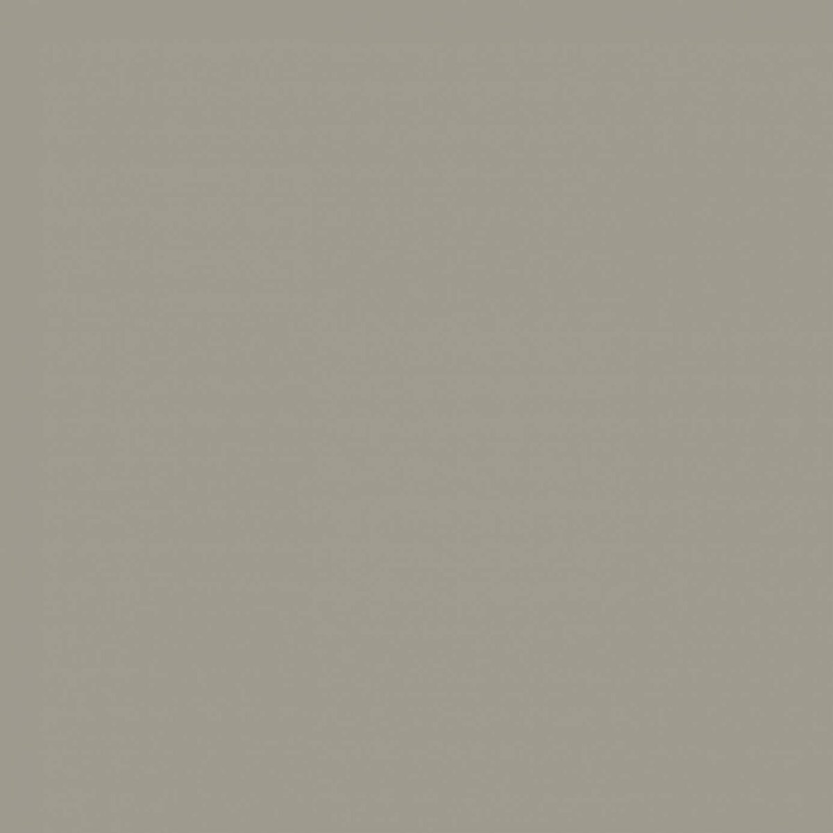 Sanderson Briarwood Paint by Sanderson Briarwood Paint from