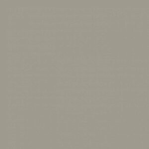 Sanderson Briarwood Paint