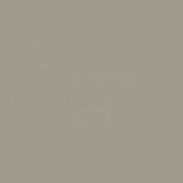 Sanderson Briarwood Paint by Sanderson Briarwood Paint from