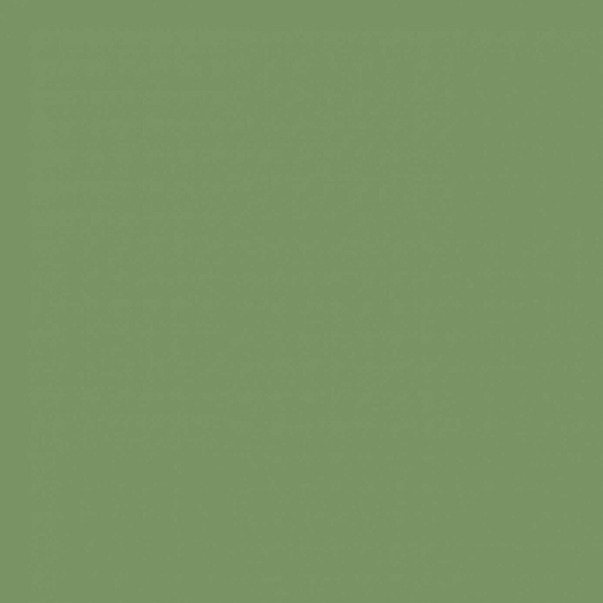Sanderson Botanical Green Paint by Sanderson Botanical Green Paint from