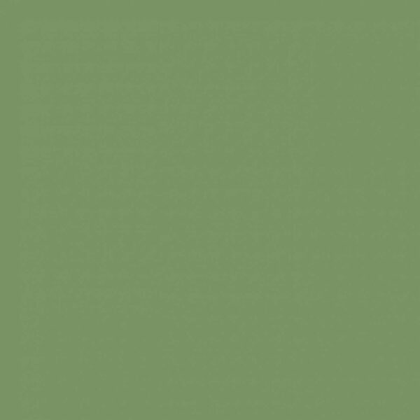 Sanderson Botanical Green Paint by Sanderson Botanical Green Paint from