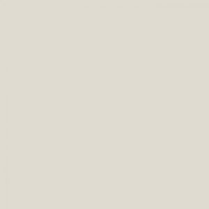 Sanderson Barely Beige Paint