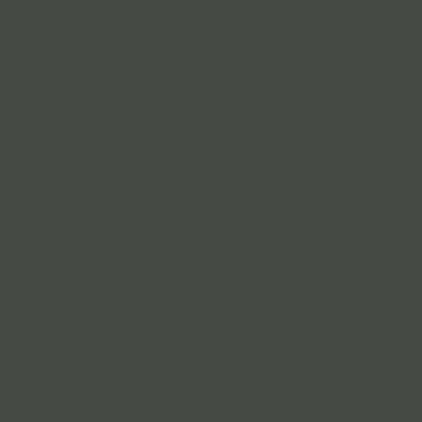Sanderson Amsterdam Green Paint by Sanderson Amsterdam Green Paint from