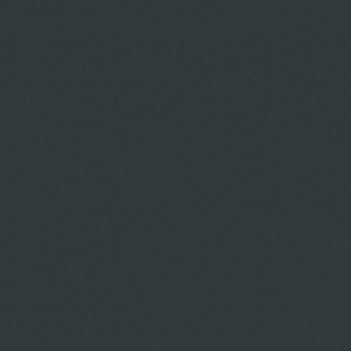 Sanderson Carbon Paint from