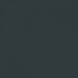 Sanderson Carbon Paint