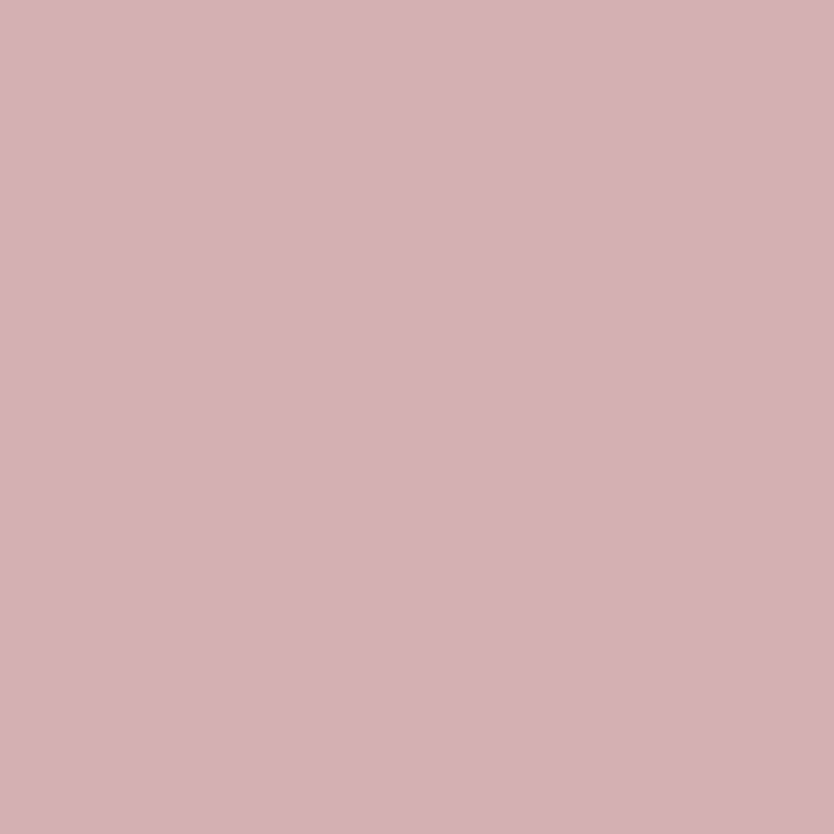 Sanderson French Rose Paint by Sanderson French Rose Paint from
