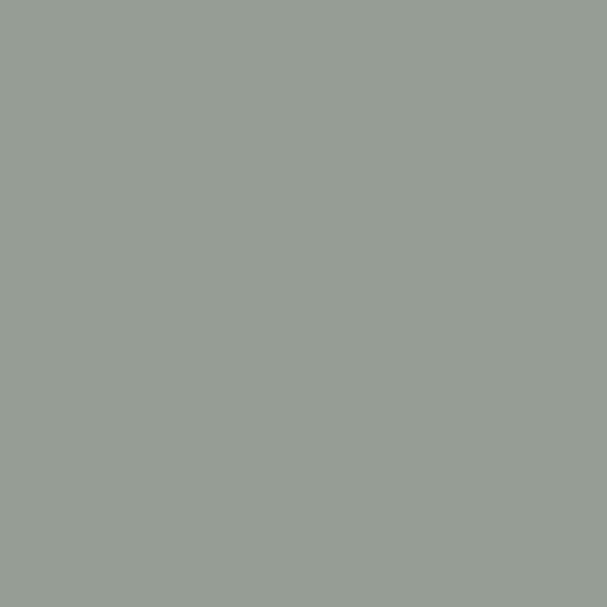 Sanderson English Grey Paint by Sanderson English Grey Paint from
