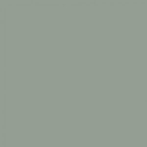 Sanderson English Grey Paint