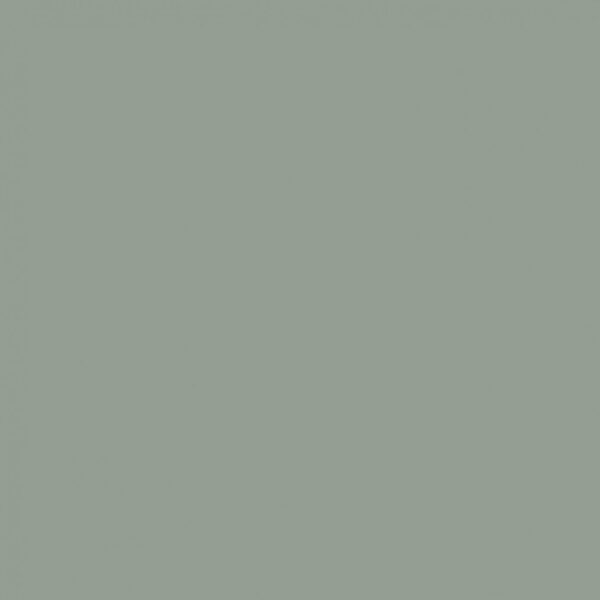 Sanderson English Grey Paint by Sanderson English Grey Paint from