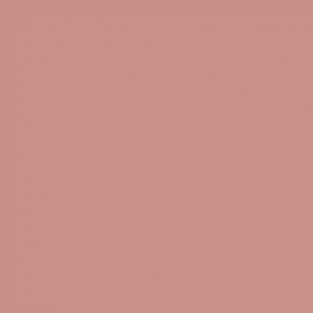 Sanderson Inkwood Paint by Sanderson Inkwood Paint from