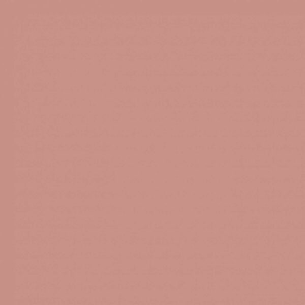 Sanderson Inkwood Paint by Sanderson Inkwood Paint from