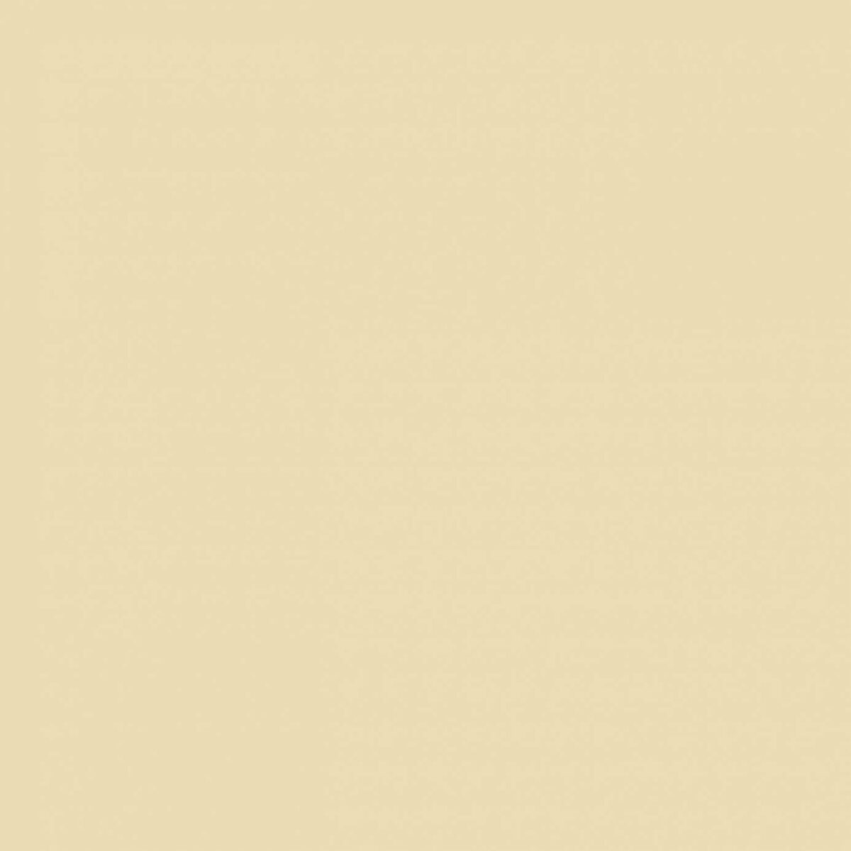 Sanderson Imperial Ivory Paint from