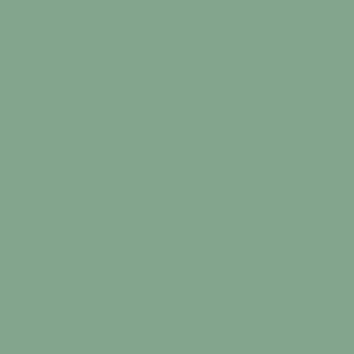 Sanderson Hosta Green Paint by Sanderson Hosta Green Paint from