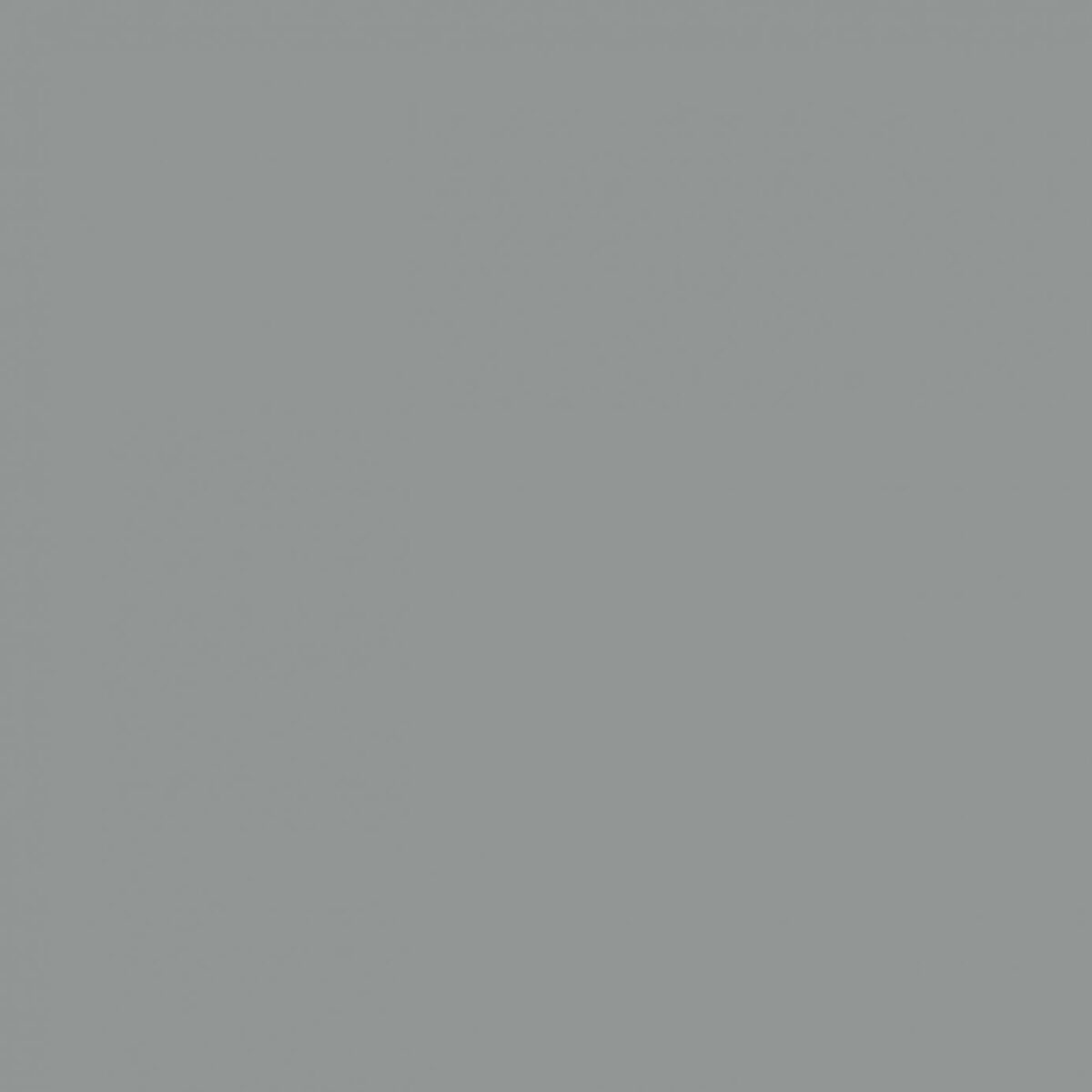 Sanderson Gull Grey Paint by Sanderson Gull Grey Paint from