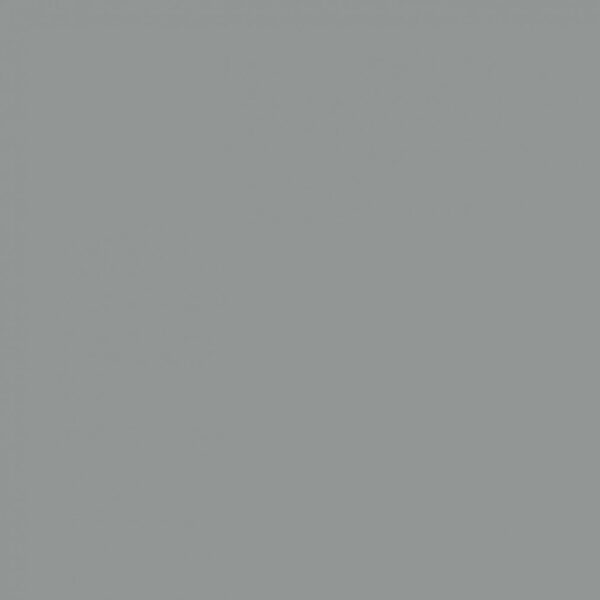 Sanderson Gull Grey Paint by Sanderson Gull Grey Paint from