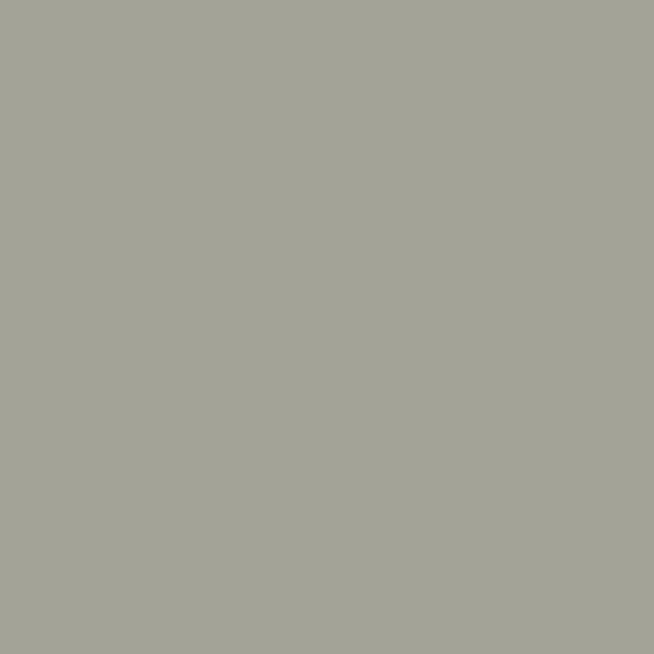 Sanderson Grey Squirrel Paint by Sanderson Grey Squirrel Paint from