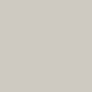 Sanderson Grey Birch Paint