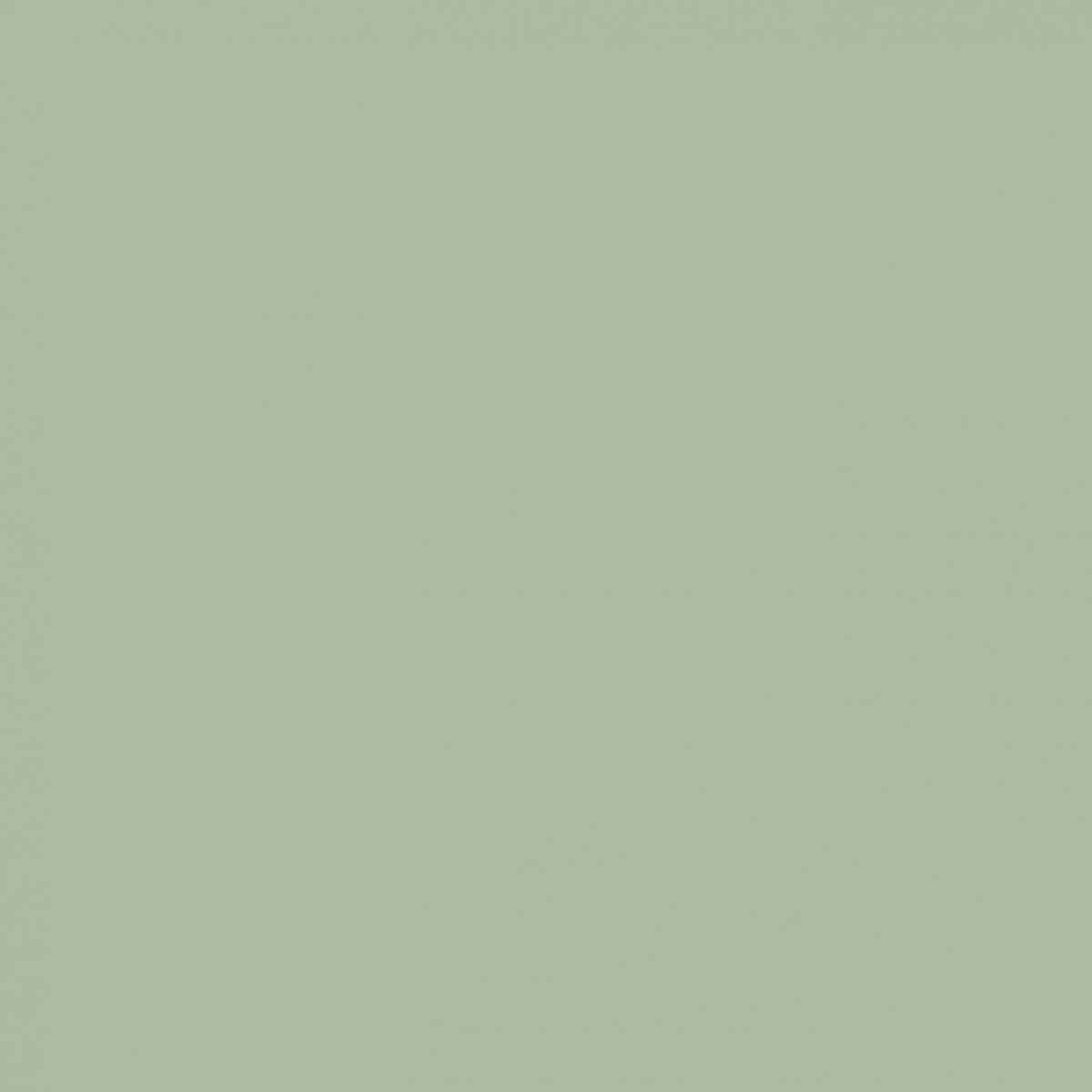 Sanderson Green Grotto Paint by Sanderson Green Grotto Paint from