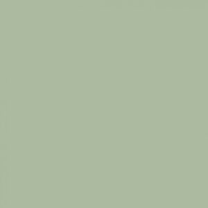 Sanderson Green Grotto Paint