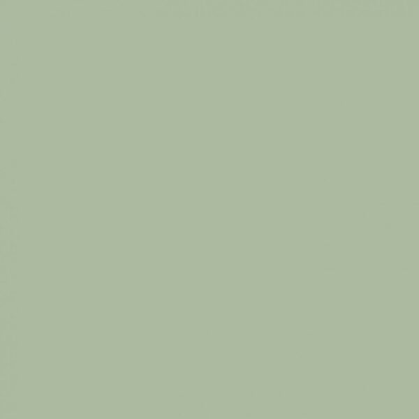 Sanderson Green Grotto Paint by Sanderson Green Grotto Paint from