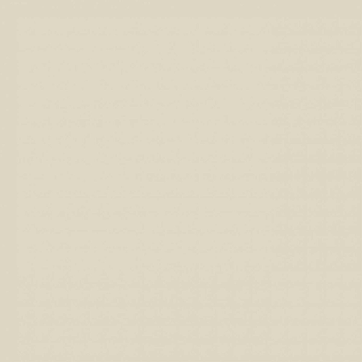 Sanderson Oyster White Light Paint by Sanderson Oyster White Light Paint from