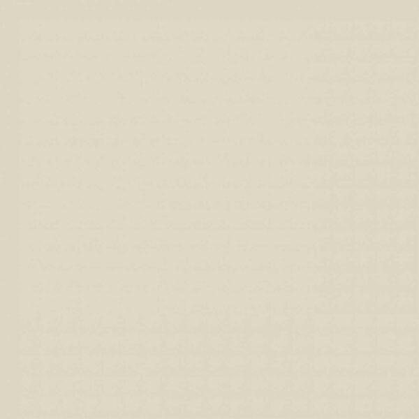 Sanderson Oyster White Light Paint by Sanderson Oyster White Light Paint from