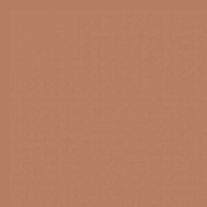 Sanderson Squirrel Paint