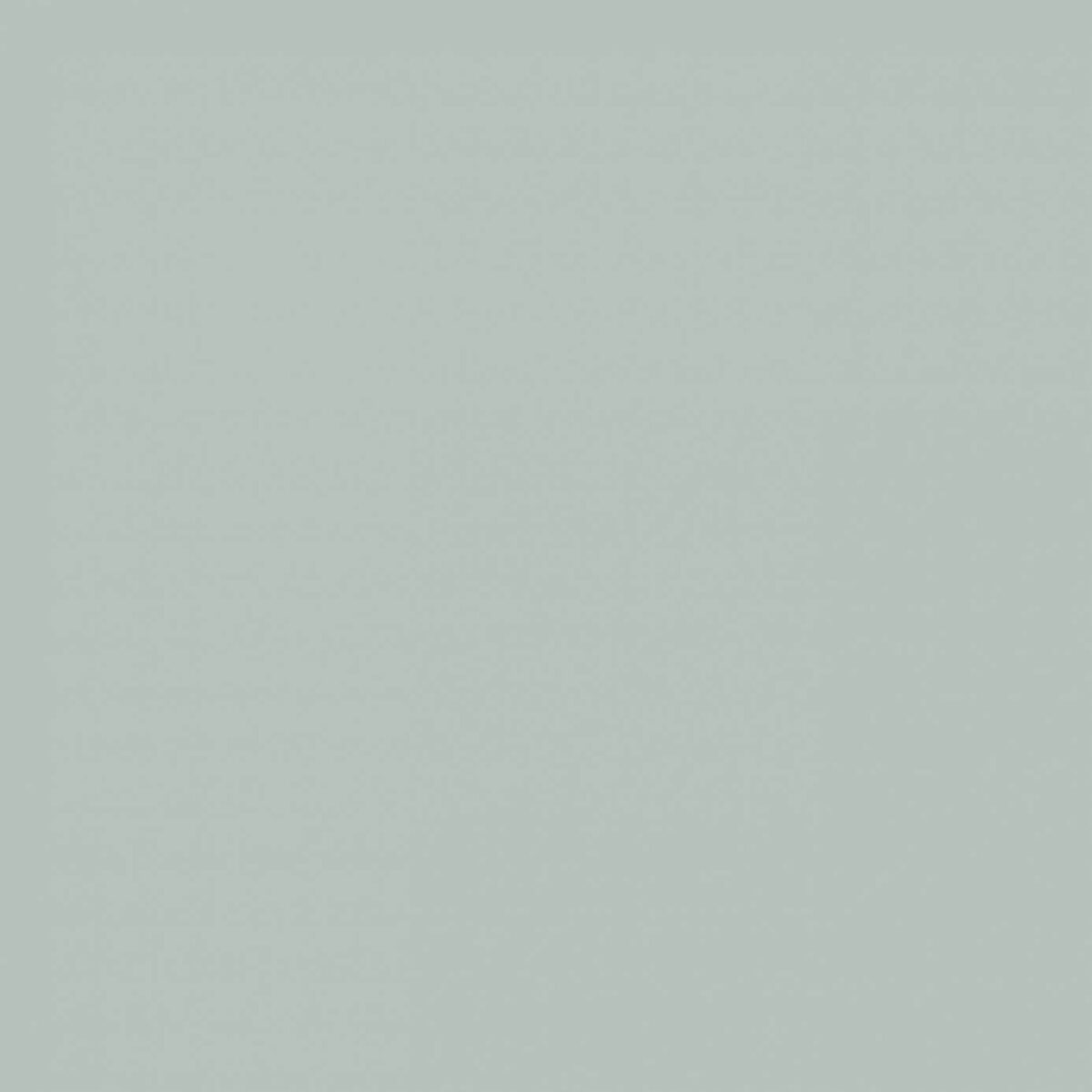 Sanderson Scotch Grey Paint by Sanderson Scotch Grey Paint from