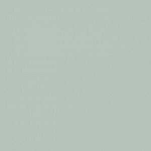Sanderson Scotch Grey Paint