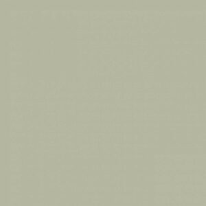 Sanderson Sage Grey Paint