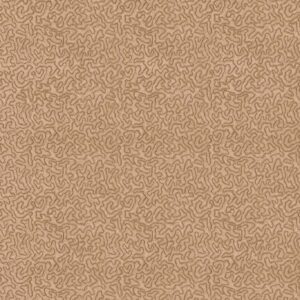 neutral misc velvet-chenille fabric from Zoffany
