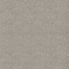 black-grey misc velvet-chenille fabric from Zoffany