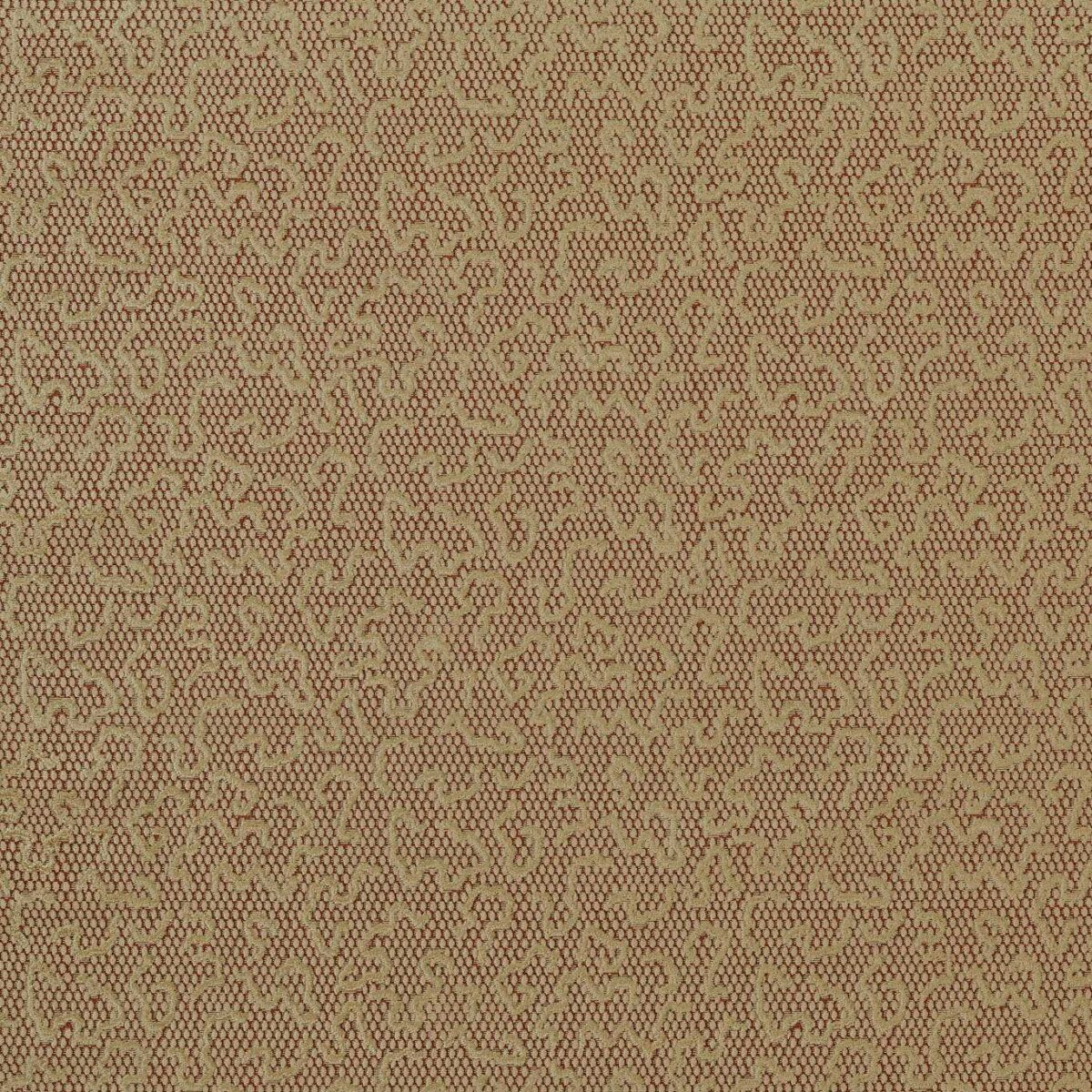 Domino Velvet Fabric - Rose Gold by brown misc velvet-chenille fabric from Zoffany