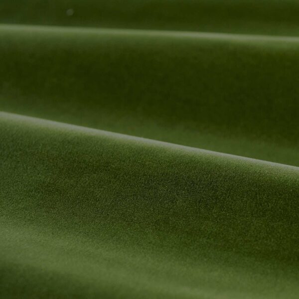 Cotton Velvet Performance Fabric - Evergreen by green plain velvet-chenille fabric from Zoffany