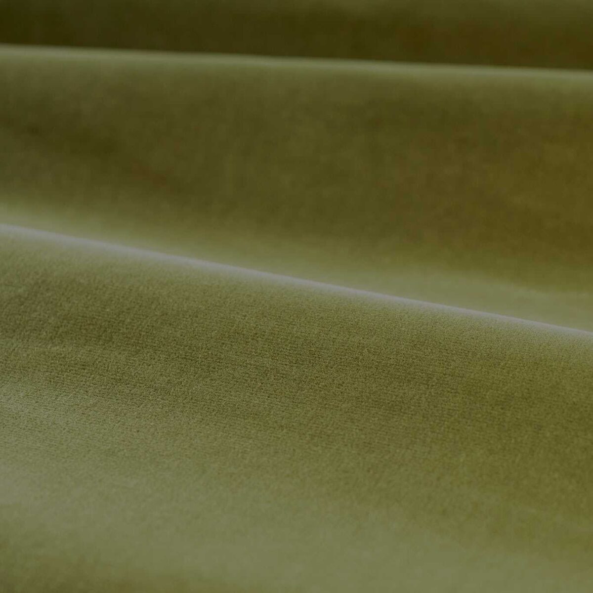 Cotton Velvet Performance Fabric - Olive by green plain velvet-chenille fabric from Zoffany