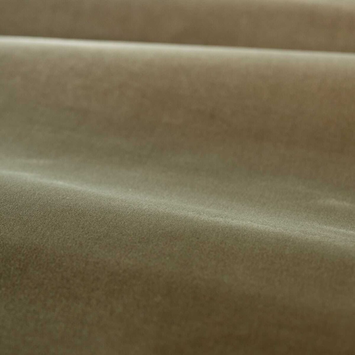 Cotton Velvet Performance Fabric - Antique Linen by brown plain velvet-chenille fabric from Zoffany