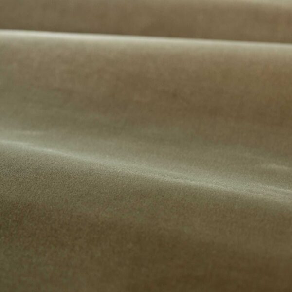 Cotton Velvet Performance Fabric - Antique Linen by brown plain velvet-chenille fabric from Zoffany