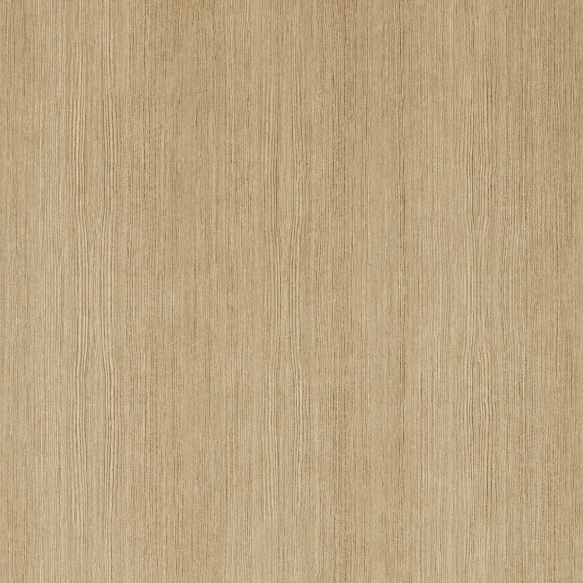 Wood Veneer Wallpaper - Pine by neutral botanical wallpaper from harlequin