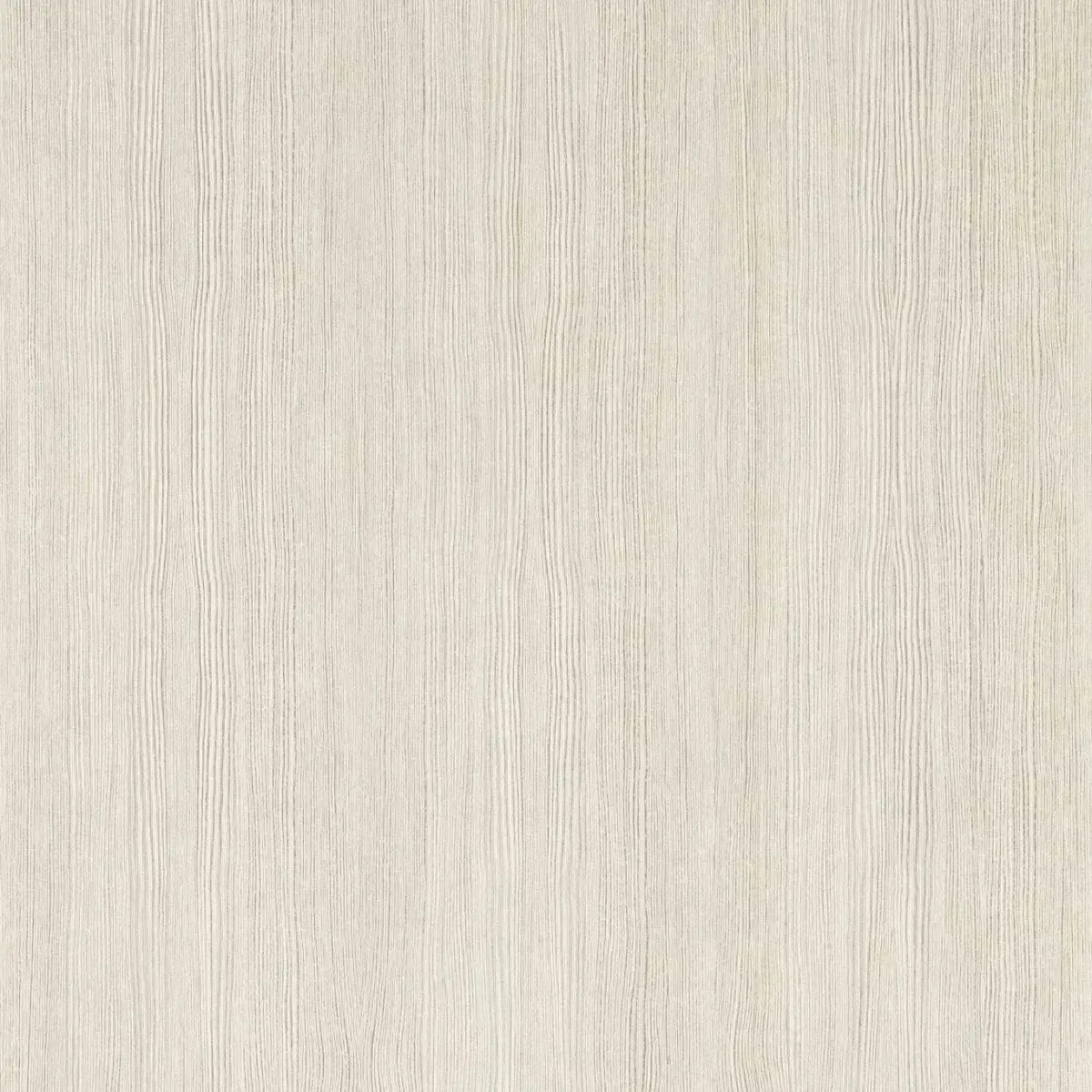 Wood Veneer Wallpaper - Silver Birch by white botanical wallpaper from harlequin