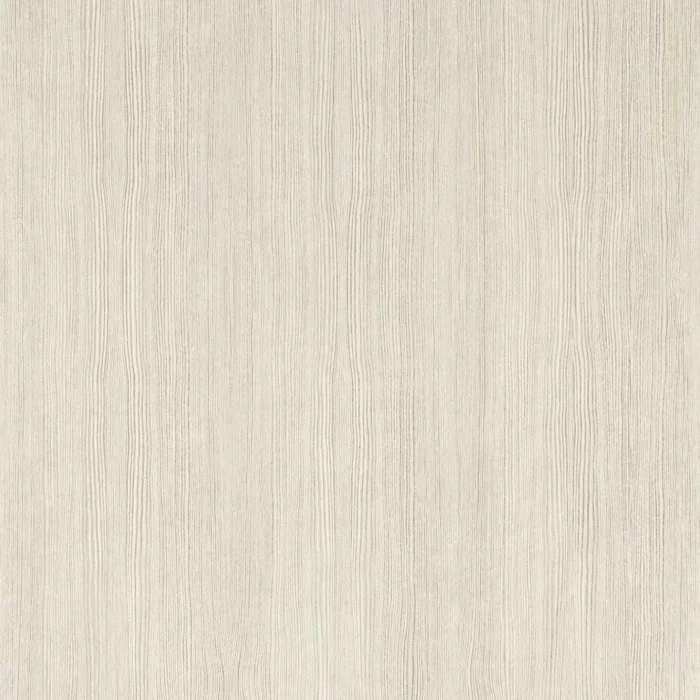 Wood Veneer Wallpaper - Silver Birch swatch