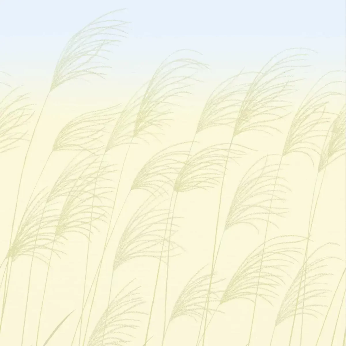 Miscanthus Wallpaper - Buttermilk / Sky by blue botanical wallpaper from harlequin